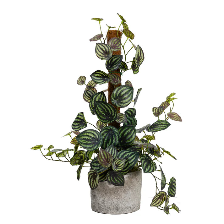 Watermelon Plant on Pole 69cm Artificial