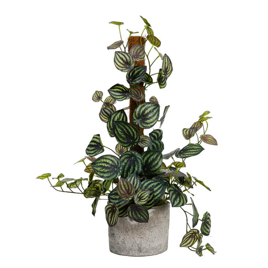 Watermelon Plant on Pole 69cm Artificial