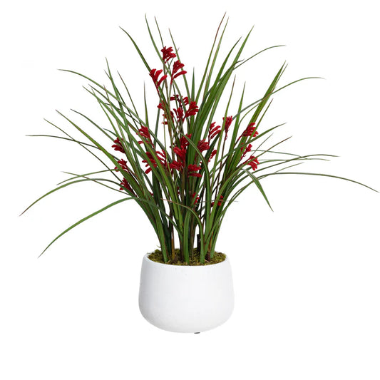 Kangaroo Paw in Pot 68cm Artficial