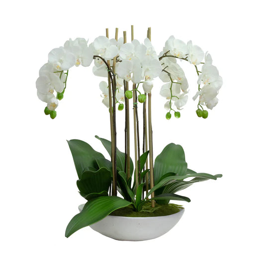 Phal Orchid in Bowl 65cm Artificial