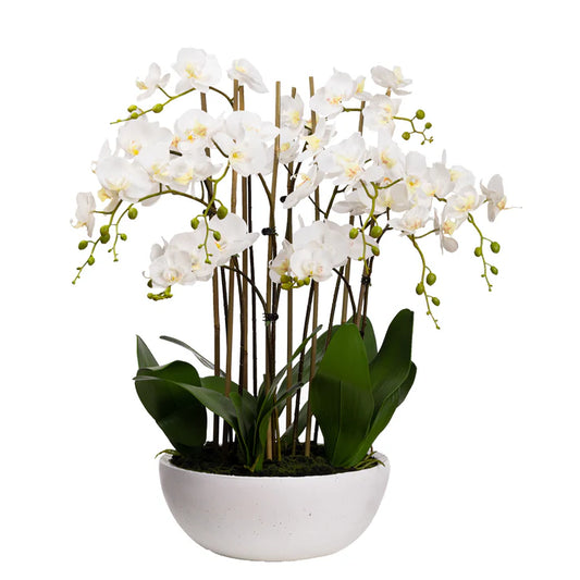 Orchid in Bowl 75cm Artificial