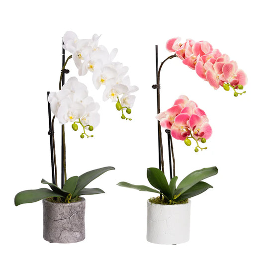 Orchid in Pot 60cm Artificial