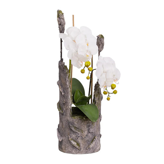 Orchid in Cement 65cm Artificial