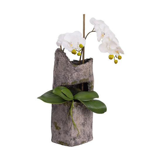 Orchid Pair in Cement 65cm Artificial