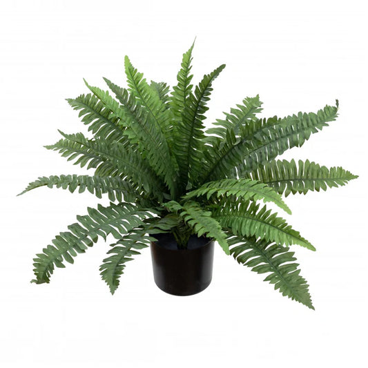 Boston Fern Small Potted 40cm Artificial Plants