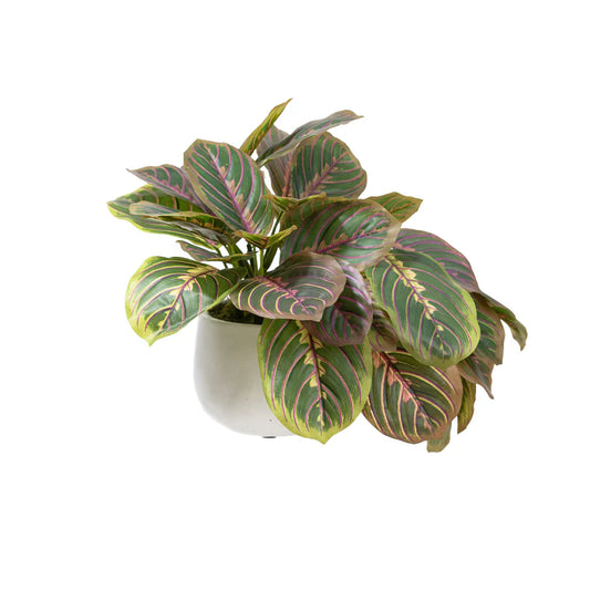 Peacock Bush in Pot 28cm Artificial Plants